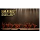 BALLET ANA ARAUJO 29/11 - 16h00